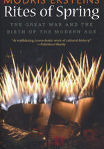 A book cover with fireworks in the background.